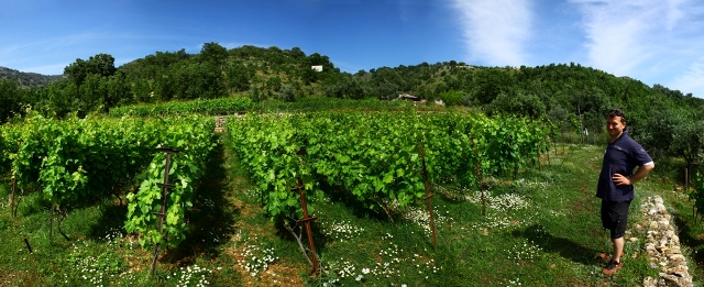  Aris at the family vineyard